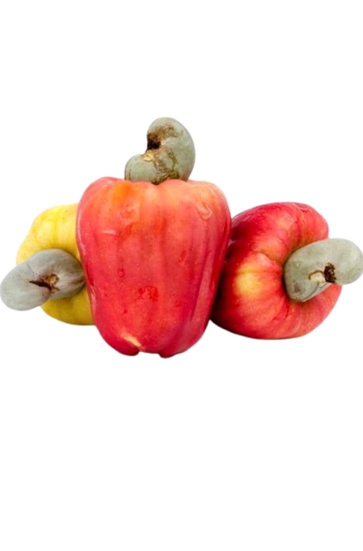 Légumes